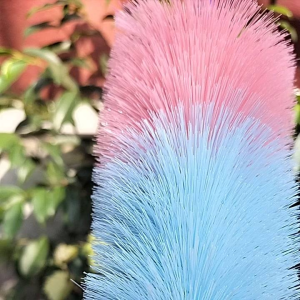 Sikat Botol 2pcs: Pembersih Botol Praktis dan Efektif