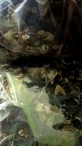 Jamur Kuping Kering Grade A 250 Gram