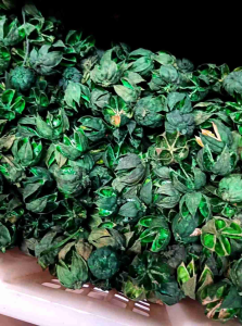 Grosir kelopak Rosella - 1 kg kelopak Rosella kering - kelopak Rosella aneka warna - bahan kerajinan tangan