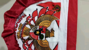 Bendera Background Mini 10 Gelombang & Panjang 45 Meter