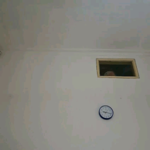 Lampu Led H6 Laser Hi Lo Beam 2 Warna Ac Dc Bebek Matic Universal - H6