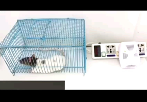 Readystock现货🇲🇾 驱鼠神器捕鼠灭鼠老鼠器超声波大功率家用驱赶抓电子猫捉扑防赶除