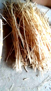 Herbal Mengobati Batu Ginjal Alami Akar Alang-alang Segar Langsung Petik 1kg