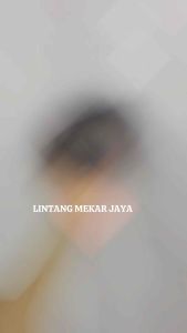 STOPLAMP RUNNING BEAT DELUXE GEN 1 bintik 3in1 10 mode manual