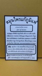 สมุนไพรแก้ภูมิแพ้