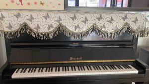 { Sản phẩm có sẵn} Khăn Phủ Đàn Piano Cơ Vải Nhung Khắc Hoạ Tiết Cánh Bướm Nối Dài