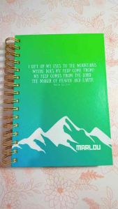 Customizable SOAP Journal