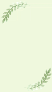 Sepatu Anak Karakter sepatu anak sekolah Sepatu sneakers sepatu olahraga