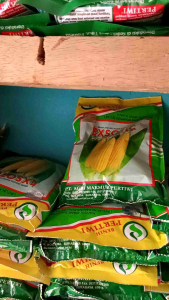 Benih Jagung Manis Hibrida Exotic/Eksotik 1.750 biji Benih Pertiwi