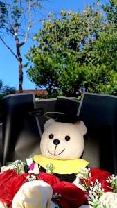 Buket Boneka Wisuda Size Besar XXL