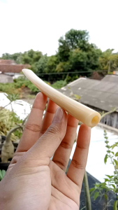 Pipa Klokotan Tulang Sapi Model Bulat A42