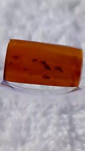 รอบที่-4 ก-25 อำพันพม่าแบบมีแมลง อำพันแท้ 100%