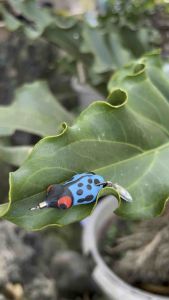 SaklonLure umpan casting hand made umpan karet kumbang