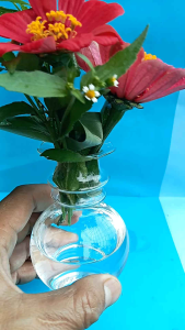 Vas Bunga dan Tempat Ikan Hias Kaca Kristal Model Guci Mini