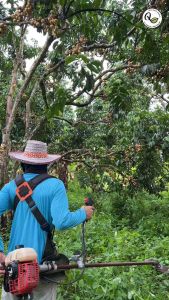 A00แฮนด์เครื่องตัดหญ้าแบบจับถนัดมืองานอะลูมิเนียม(ไม่รวมชุดมือเร่ง)