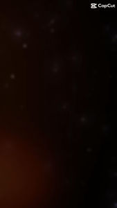 áo khoác bomber varsity chất vải dạ dày dặn chữ D phối tay da PU cao cấp áo khoác bóng chày nổi bật phối tay da