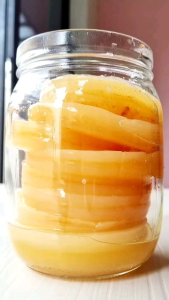 Live Kombucha Scoby Starter Culture - DIY Make Your Own fermented Kombucha Tea at home