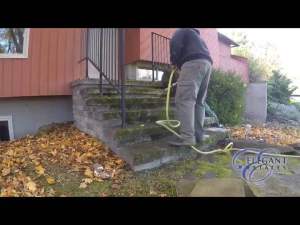 1 gói 500g Bột Tẩy Rong Rêu Sân Xi Măng - Hiệu Quả Nhanh Dễ Sử Dụng [ Bột Loại Tốt ]