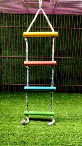 mainan burung parrot panjatan tali kayu warna warni