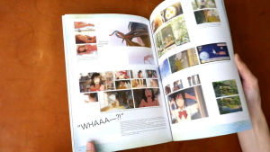 Your Name. The Official Visual Guide