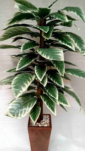 Bunga Hiasan Artificial Pohon Gerigi Sudut Ruang Tamu Jumbo Tinggi Rimbun