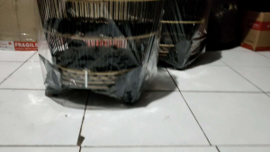 SANGKAR BURUNG RAJUT MINIMALIS ROTAN SINTETIS KANDANG MAHKOTA MERAK KANDANG PERKUTUT MATARAM BERKUALITAS - SILVER