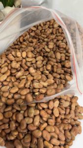 Đậu Tằm Úc loại 1 (Fava bean for human) - 500g