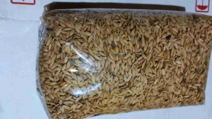 Benih bibit padi beras merah unggul pilihan padi huma padi darat 1 kg