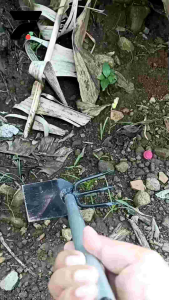 Cangkul Mini 2in1 Baja Asli Alat Garuk Gali Tanah Kebun Taman Tanaman