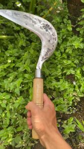 Arit Rumput Baja Asli Super Tajam Siap Pakai