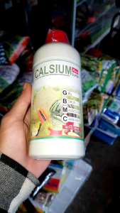 Pupuk Calsium 500 ml Pupuk Calsium Cair Pertanian Terlengkap Calsium Susu Super