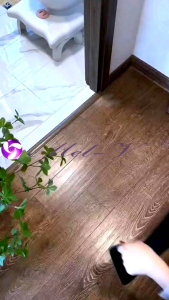 Keset Kaki Diatomite 3 D Keset Kamar Mandi Rumah Tangga 3D Anti Selip