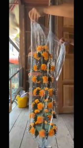 บายศรีหลักสูง 75 ซม.ถึง 165 ซม.มีแบบชั้นและพญานาคพันรอบครับ