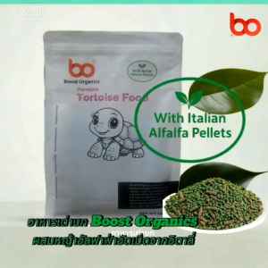 อาหารเต่าบก ผสมหญ้าอัลฟาฟ่าอัดเม็ดจากอิตาลี Boost Organics บูสต์ออร์แกนิกส์ อาหารเต่า กระดองแข็งแรง กระดูกแข็งแรง ช่วยระบบย่อย เต่าสุขภาพดี 12 ถุง (12ถุงx1kg) จัดส่งเร็ว เก็บเงินปลายทาง