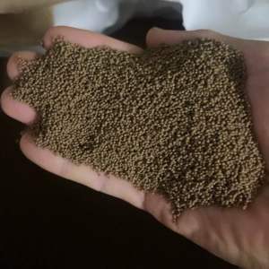 1 Kg Thức Ăn ( 0.8) Cho Cá 7 Màu Cá Betta Cá neon cá chuột cá Trâm Ớt mini tam giác vây xanh notho ngựa vằn cá Otto Ngọc trai tôm kiểng nhỏ…. Và các loại cá kiểng cần ăn thức ăn hạt nhỏ khác.