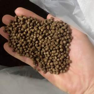 1 Kg Thức Ăn (  4.0 mm   ) Cho Cá Chép vàng Màu Cá ba đuôi Cá koi mini cá Hồng Két cá tai tượng cá lóc cá trê…. Và các loại cá kiểng cần ăn thức ăn hạt nổi sze bằng đầu đũa ăn cơm.