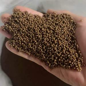 1 Kg Thức Ăn ( 2.0 mm ) Cho Cá vàng Màu Cá ba đuôi Cá koi mini  cá sặc gấm cá Trâm Ớt mini tam giác vây xanh notho ngựa vằn cá Otto Ngọc trai cá Hồng Két cá Thanh Ngọc cá tai tượng cá lóc cá trê…. Và các loại cá kiểng cần ăn thức ăn hạt nhỏ