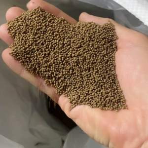 1 Kg Thức Ăn ( 1.0) Cho Cá 7 Màu Cá Betta Cá neon cá chuột cá Trâm Ớt mini tam giác vây xanh notho ngựa vằn cá Otto Ngọc trai tôm kiểng nhỏ…. Và các loại cá kiểng cần ăn thức ăn hạt nhỏ khác.