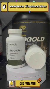 Ostrovit Berberine - Viên Uống Hỗ Trợ Đường Ruột Dạ Dày Giảm Triệu Chứng Rối Loạn Tiêu Hoá (90 viên) Chiết Xuất Berberine Cho Đường Ruột Khỏe Mạnh - Lazada