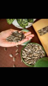 HẠT HƯỚNG DƯƠNG RANG SẤY VỊ NGUYÊN BẢN - HẠT HƯỚNG DƯƠNG LOẠI NGON - MÓN ĂN VẶT THƠM NGON