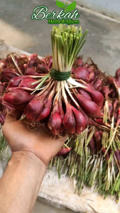 Bawang Dayak Segar 1kg Bawang Dayak Asli Herbal Teh Bawang Dayak
