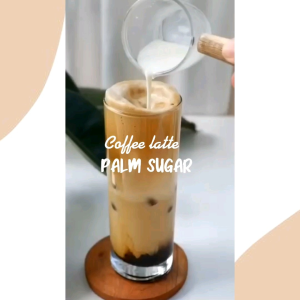 Gula Aren Cair / Liquid Palm Sugar