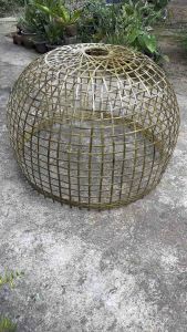 สุ่มไก่ชนสานไม้ไผ่ (ไฮโซสวยใบใหญ่ทรงลูกจันทร์1ใบ/1บิล)