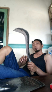 dogrit tebu dan ranting kebun