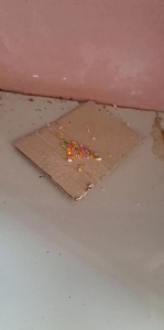 เหยื่อกำจัดหนู แบบครึ่งกิโลกรัม ตายดีมาก