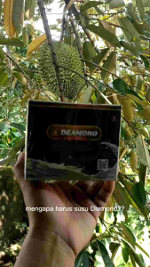 Gomars susu kambing etawa bubuk gomars / DEAMOND SUSU ETAWA/ GOLDEN STAR GOAT