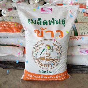 กข6 พันธุ์ข้าวปลูก RD6 พันธุ์ข้าวเหนียวหอม ทนแล้ง ข้าวไวต่อแสง ต้านทานโรค กรมการข้าว ชั้นพันธุ์ขยาย บรรจุ 25 ก.ก.