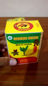 JAMU MENGKUDU GINGSENG original multiguna Asam urat reumatik pegal linu