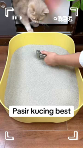 PASIR GUMPAL KUCING 1KG /TEMPAT KUCING MEMBUANG KOTORAN AROMA NYA WANGI+bonus fish oil