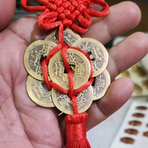 8 Lucky Wealth Brass Coin Hanging